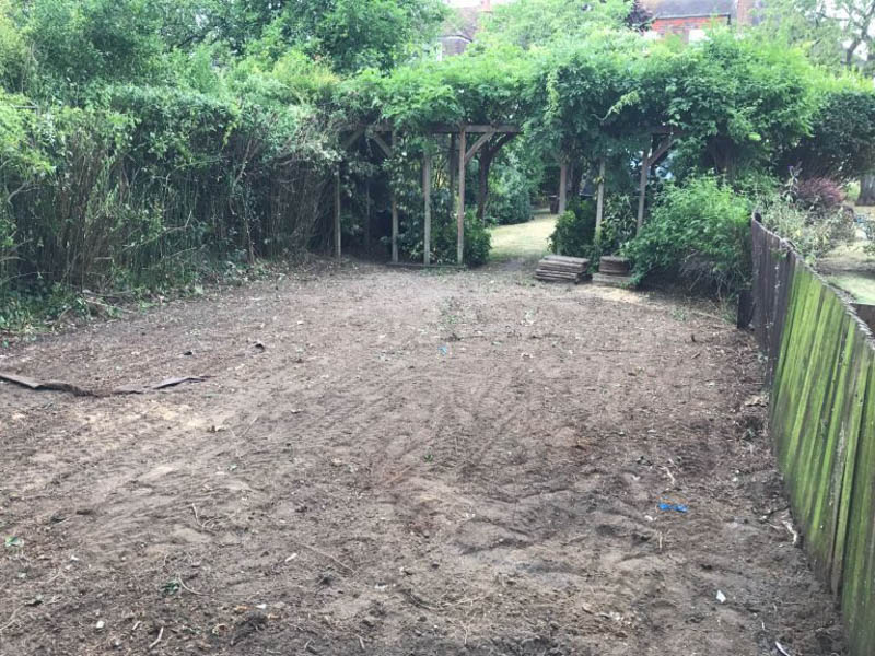 The eDEN team cleared the site before starting work