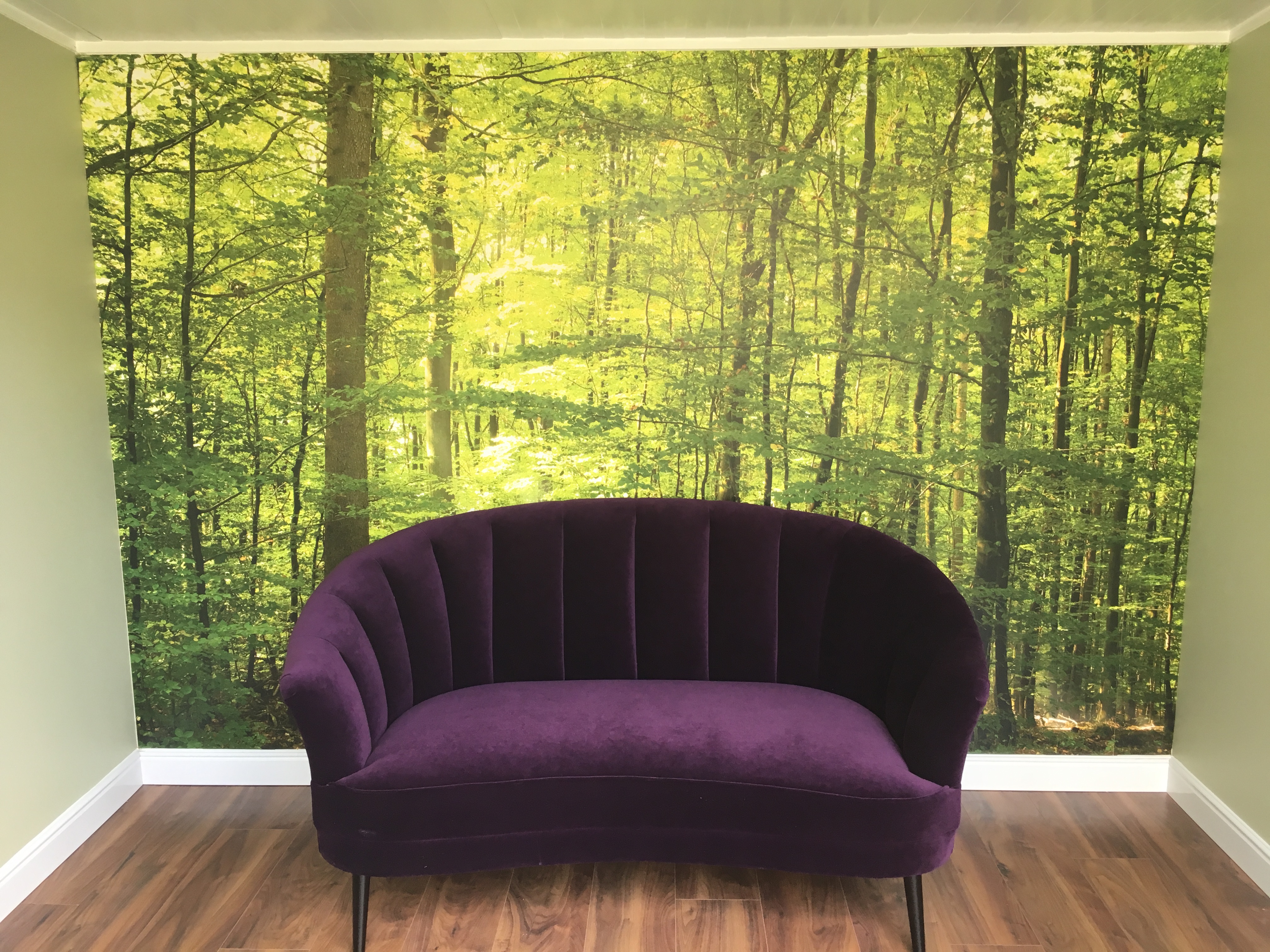 A tree lined feature wall in a Sanctum Garden Studio