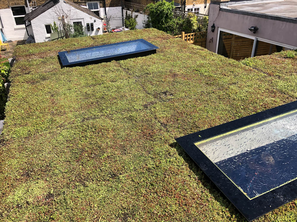 Living roof on a L-shaped Garden2Office building with two skylights